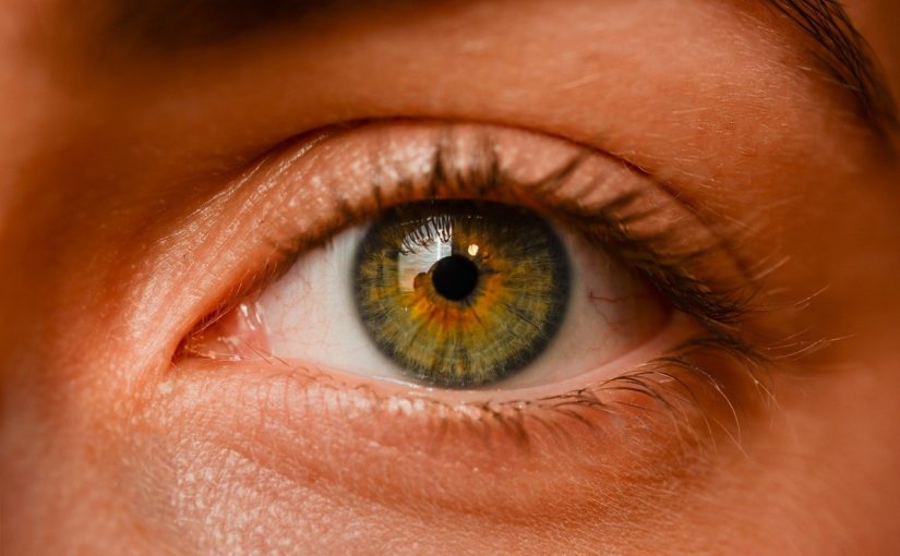 Oczy to wyrafinowany organ. To dokładnie dzięki nim rozróżniamy.